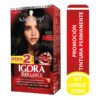IGORA KIT BRILLA 100 NEGRO+D.T