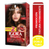 IGORA BRILLA KIT 606 OFE.2TUB CHOC.INTEN
