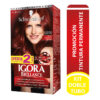 IGORA BRILLA KIT 589I OFE.2TUB ROJO B